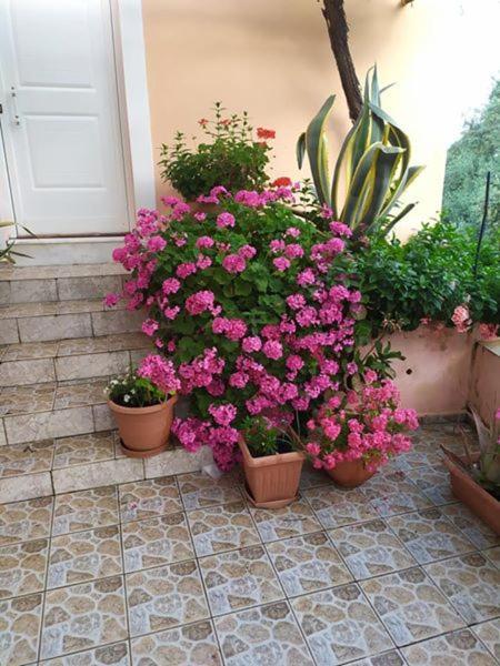 Вілла Garden Of Olive Trees Asfendiles Екстер'єр фото